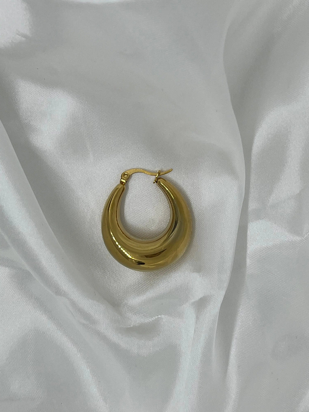 Hoop Ohringe (Limited Edition) Adore Ani Jewelry